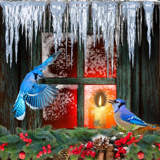 Blue Jay in snow window .jpg