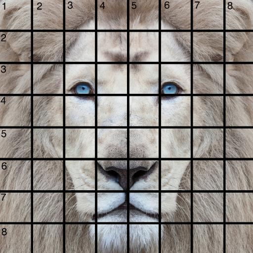 aslan grid jan 21 .jpg