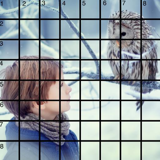 8 x 8 Refences and Grid owl boy narnia .jpg