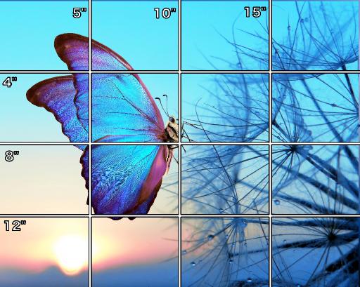 16x20 butterfly  simple Grid .jpg