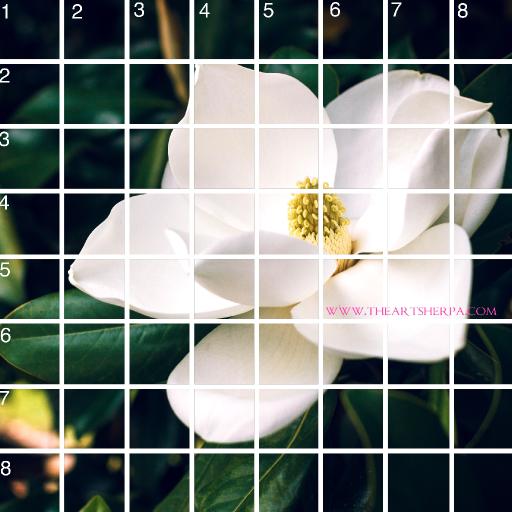 8 x 8 Refences and Grid magnolia .jpg