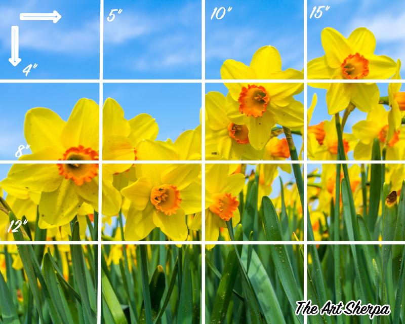 16x20 grid Horizontal daffodils .jpg