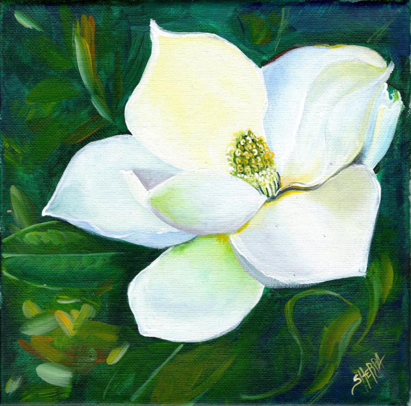 How to paint white magnolias in watercolour - Artists & Illustrators