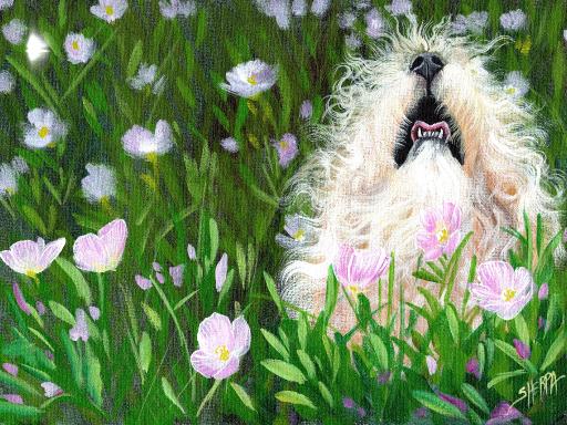 white fluffy dog painting .jpg