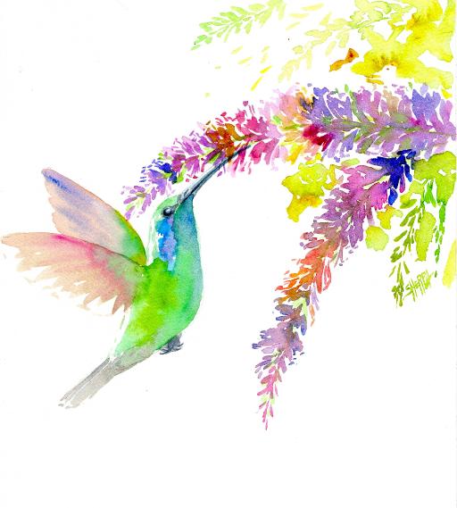 Humming Bird Easy How To Paint Watercolor Step By Step The Art