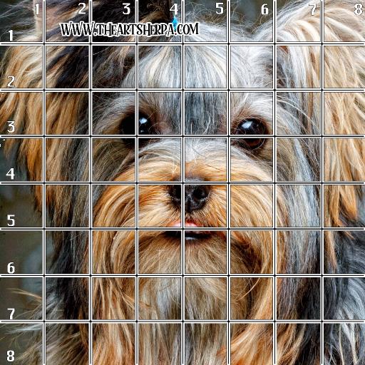 8 x 8 Refences and Grid yorkie grid .jpg