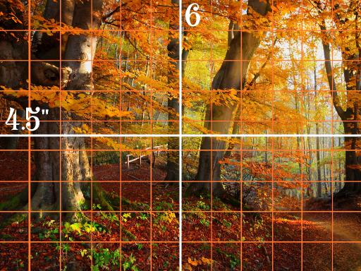 9x12 grid simple forest .jpg