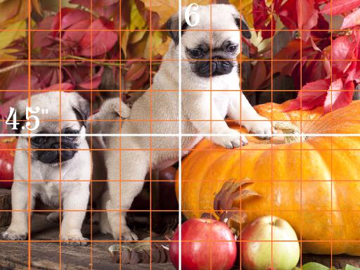 9x12 grid simple pugs .jpg