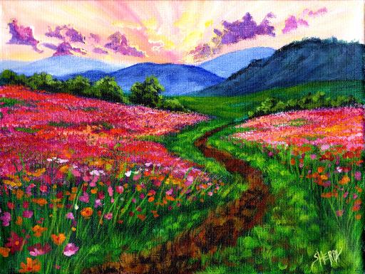 Cosmos flower field landscape at sunset