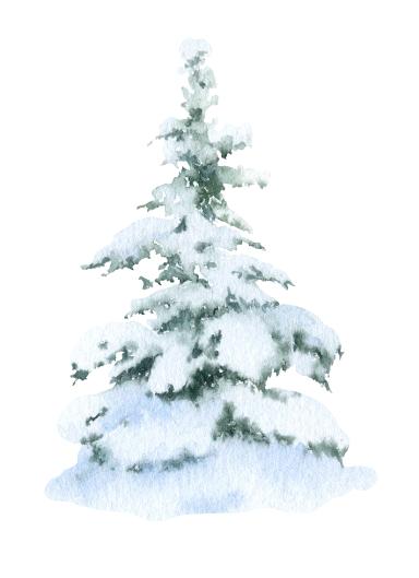 A simple method to paint snowy trees without white gouache or masking  fluid. Link to the process in the comments if you are interested 🥰 :  r/Watercolor