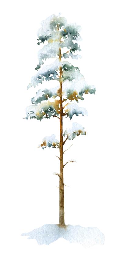 shutterstock_1890477559.jpg