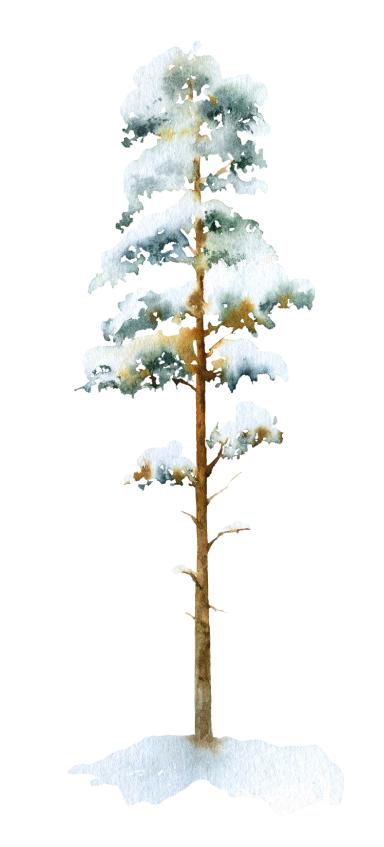 A simple method to paint snowy trees without white gouache or masking  fluid. Link to the process in the comments if you are interested 🥰 :  r/Watercolor