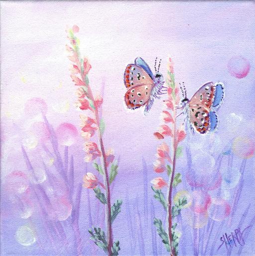tas2204  lilac butterflies on Lavender flowers.jpg