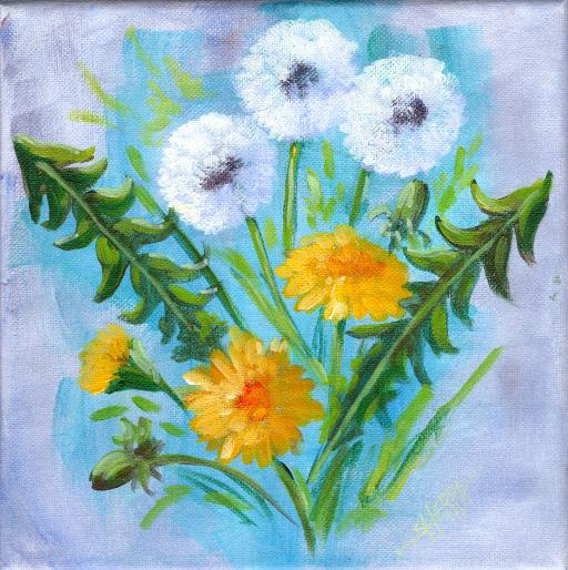 tas2204 Dandelions .jpg