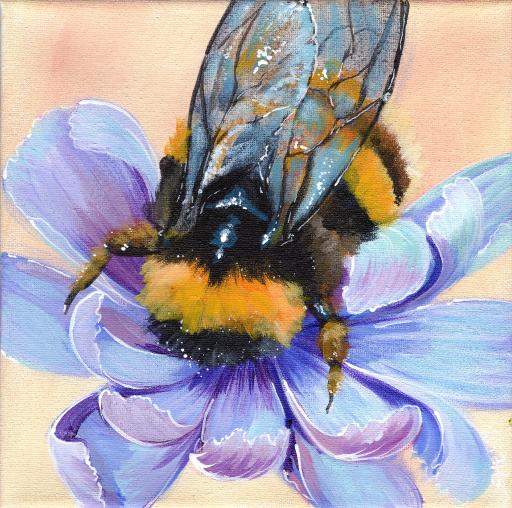 tas2204 bumble bee and purple Chicory flower  .jpg