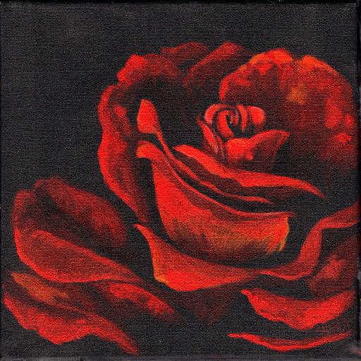 tas2204 Red rose .jpg