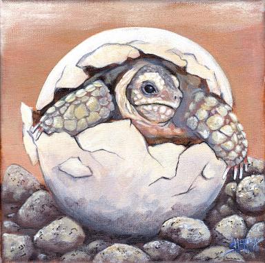 Hatching Baby turtle .jpg