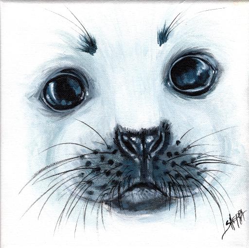 Seal puppy eyes Baby .jpg