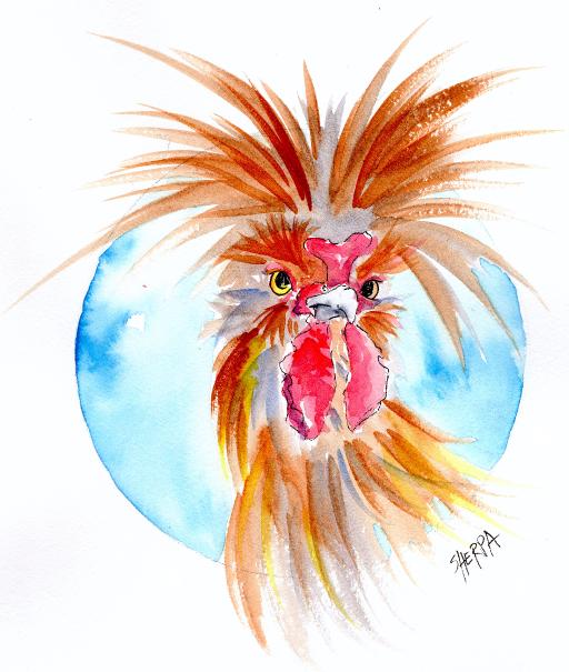 rooster Watercolor polish chicken .jpg