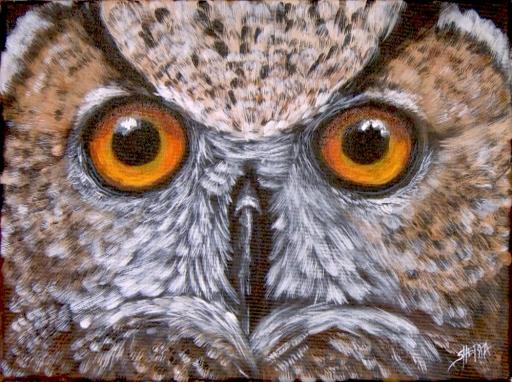 Day 12  Owl Eyes  12 of 12.jpg