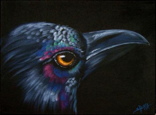 H22  Day 8  Crow  7 of 7.jpg