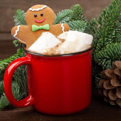 8x8 Ginger bread man cocoa.jpg