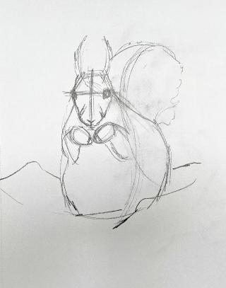 paper red quirrel sketch .jpg