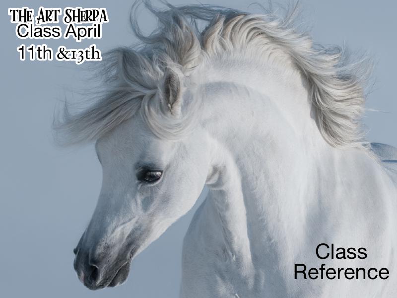 9x12 white horse class Refernce .jpg
