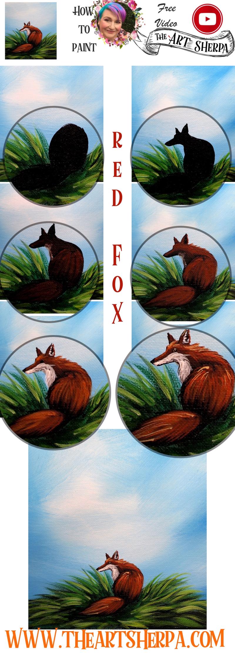 step by step size Red Fox 2  copy.jpg