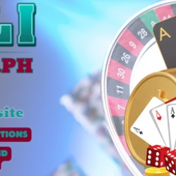 pkjili-pkjili-official-homepage-pkjili-official-website