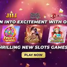 bingo29-official-homepage-bingo29-official-website