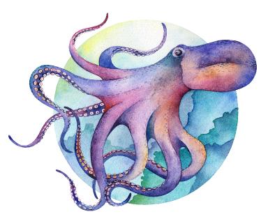 Octopus How to paint with Watercolor Free class step by step