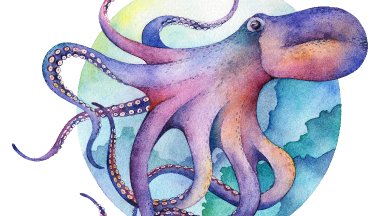 Octopus How to paint with Watercolor Free class step by step