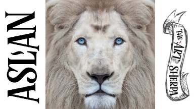 How to paint  Aslan  White Lion In acrylic step by step | TheArtSherpa