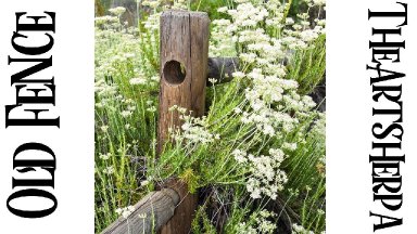 Rustic Wood Fence | Wildflowers | Step by step Tutorial Acrylic | TheArtSherpa