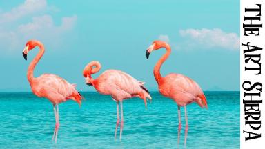 TROPICAL FLAMINGOS Beginners Learn to paint Acrylic Tutorial Step by Step