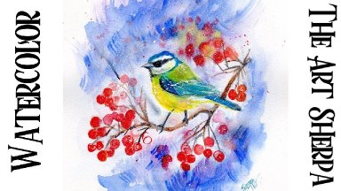 Blue Tit Bird with Berries in Snow Easy How to Paint Watercolor Step by step | The Art Sherpa