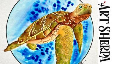 How to Draw a Sea Turtle : Easy Step-By-Step Tutorial