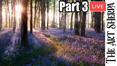 Bluebell Forest landscape PART 3 🌲🪻🌞 Live Streaming Step by Step | Adding Details and Realism