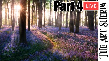 Bluebell Forest landscape PART 4  Live Streaming Step by Step | Adding Sun flare and Flowers
