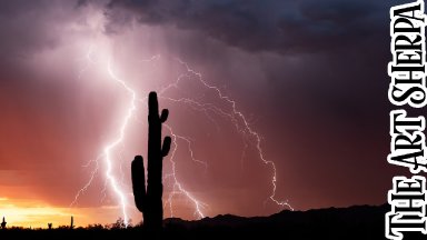 lightening and desert Cactus 🌟🎨 How to paint acrylics for beginners: Paint Night at Home