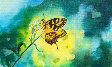 Butterfly and Bokeh effect Beginner Step by step acrylic painting tutorial