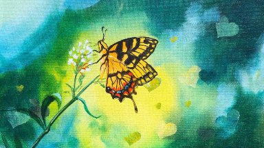 Butterfly and Bokeh effect Beginner Step by step acrylic painting tutorial