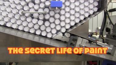 Secret Life of Paint - Extremely Satisfying Machine