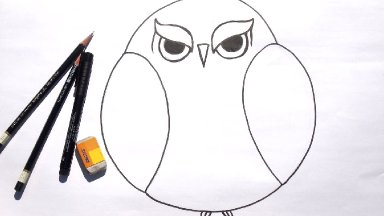 Beginner Learn to Draw Grumpy Owl for Acrylic Painting