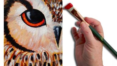 Simple Owl EYE Beginner Acrylic Painting Lesson The Art Sherpa