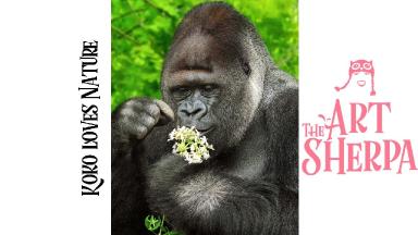 How to paint Koko the Gorilla  step by step Acrylic for beginners