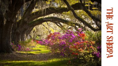 How to paint with Acrylic on Canvas Southern oak lane with Azaleas