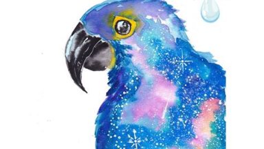 Hyacinth Macaw named Neil Watercolor - IGTV