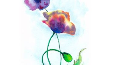 Simple colorful poppies in watercolor